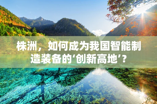 株洲，如何成为我国智能制造装备的‘创新高地’？