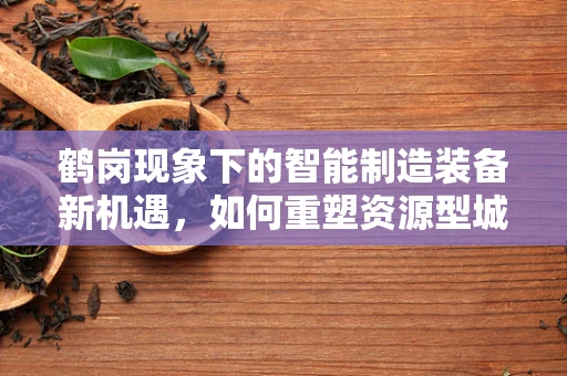 鹤岗现象下的智能制造装备新机遇，如何重塑资源型城市的经济转型之路？