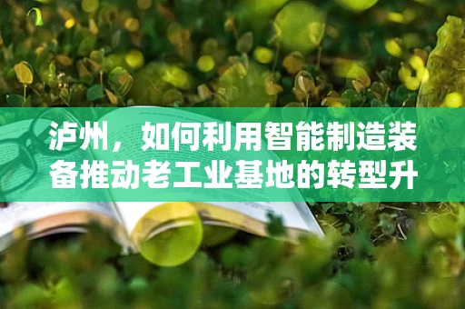 泸州，如何利用智能制造装备推动老工业基地的转型升级？