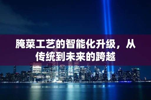 腌菜工艺的智能化升级，从传统到未来的跨越
