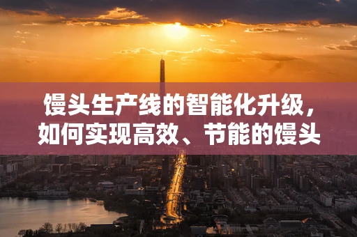 馒头生产线的智能化升级，如何实现高效、节能的馒头制造？