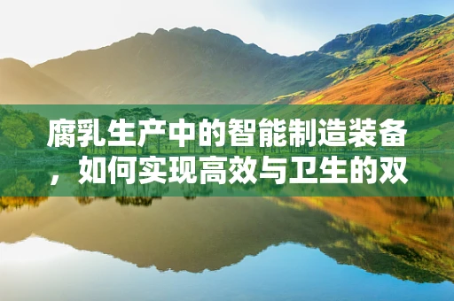 腐乳生产中的智能制造装备，如何实现高效与卫生的双重保障？