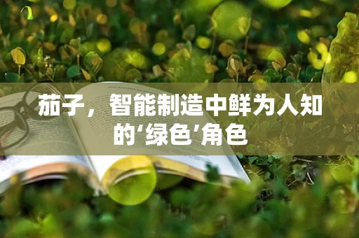 茄子，智能制造中鲜为人知的‘绿色’角色
