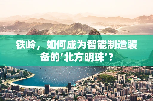铁岭，如何成为智能制造装备的‘北方明珠’？