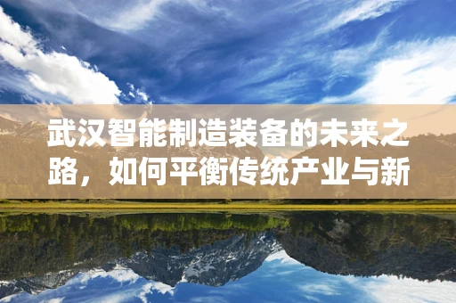 武汉智能制造装备的未来之路，如何平衡传统产业与新兴技术的融合？