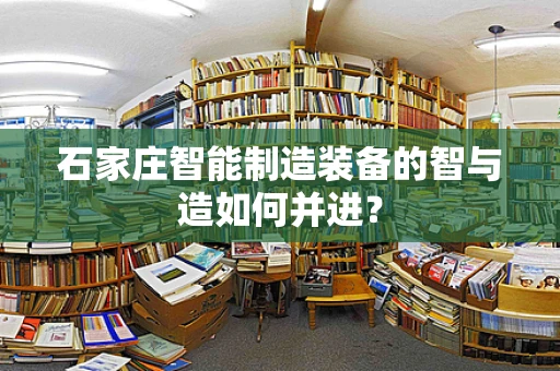 石家庄智能制造装备的智与造如何并进？