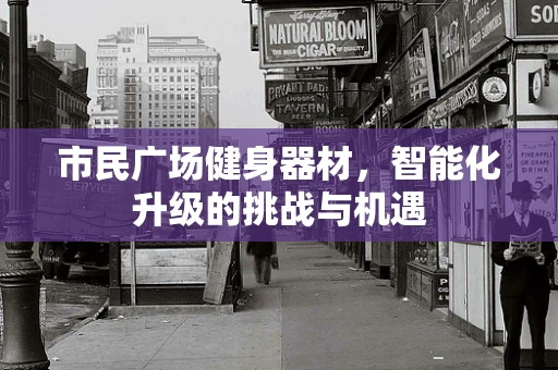市民广场健身器材，智能化升级的挑战与机遇