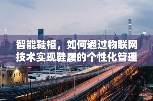 智能鞋柜，如何通过物联网技术实现鞋履的个性化管理与健康监测？