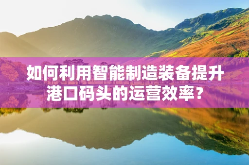 如何利用智能制造装备提升港口码头的运营效率？