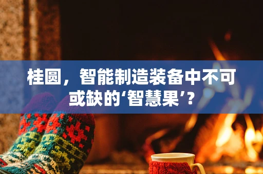 桂圆，智能制造装备中不可或缺的‘智慧果’？