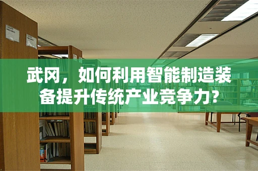 武冈，如何利用智能制造装备提升传统产业竞争力？