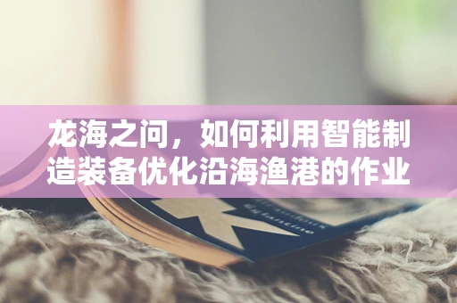 龙海之问，如何利用智能制造装备优化沿海渔港的作业效率？