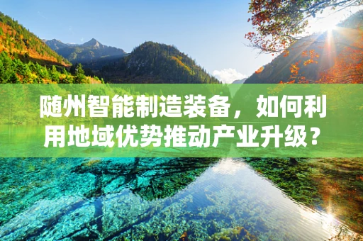 随州智能制造装备，如何利用地域优势推动产业升级？