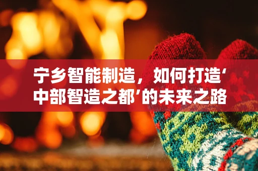 宁乡智能制造，如何打造‘中部智造之都’的未来之路？