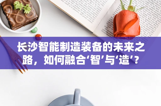 长沙智能制造装备的未来之路，如何融合‘智’与‘造’？