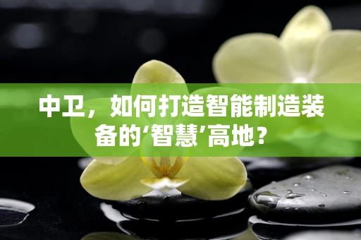中卫，如何打造智能制造装备的‘智慧’高地？