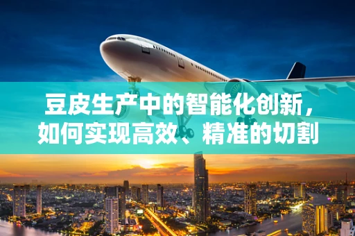 豆皮生产中的智能化创新，如何实现高效、精准的切割？
