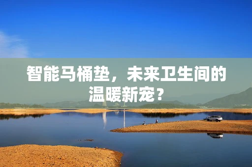 智能马桶垫，未来卫生间的温暖新宠？