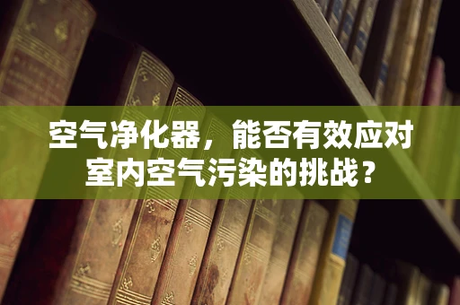 空气净化器，能否有效应对室内空气污染的挑战？