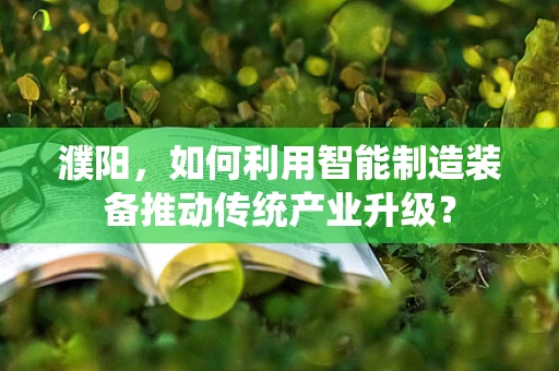 濮阳，如何利用智能制造装备推动传统产业升级？