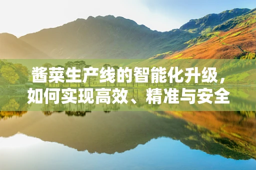 酱菜生产线的智能化升级，如何实现高效、精准与安全？