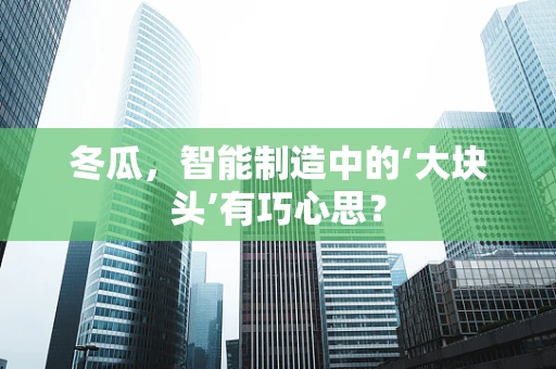 冬瓜，智能制造中的‘大块头’有巧心思？