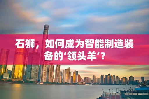 石狮，如何成为智能制造装备的‘领头羊’？